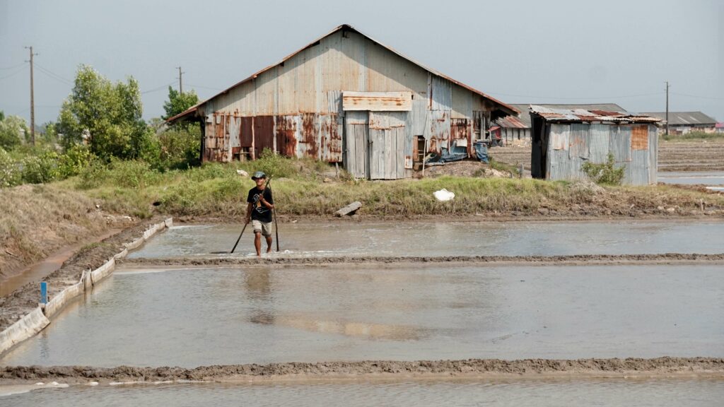 salière kampot
