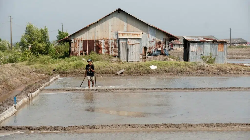 salière kampot