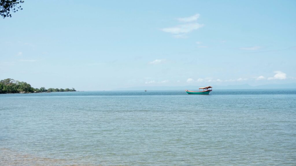 rabbit island