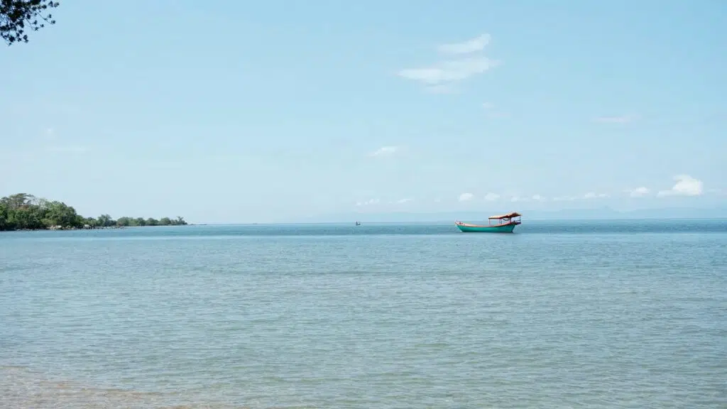 rabbit island