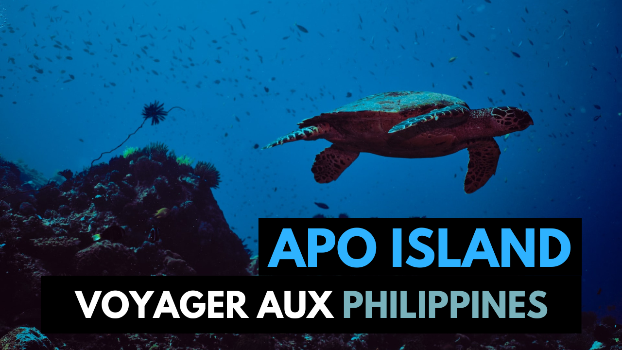 VOYAGE - PHILIPPINES - APO ISLAND