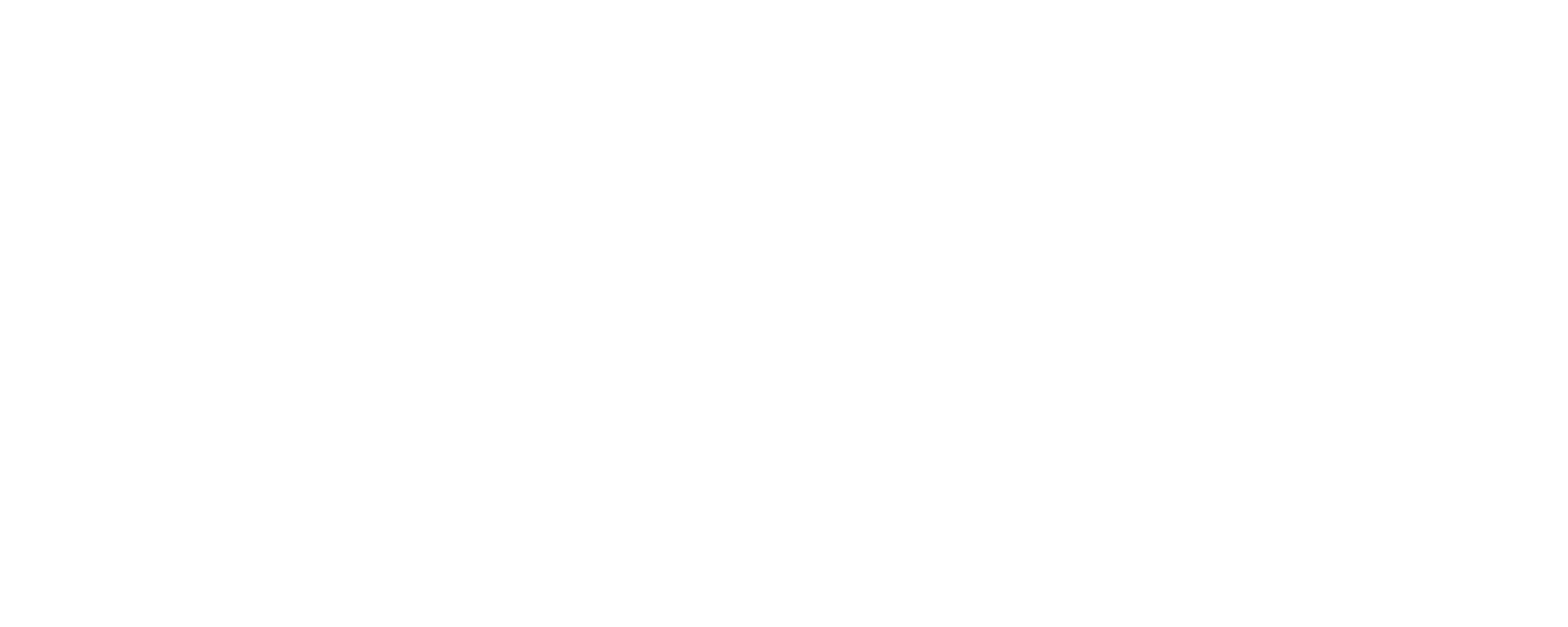 OFFROADERIOLOGOBLANC
