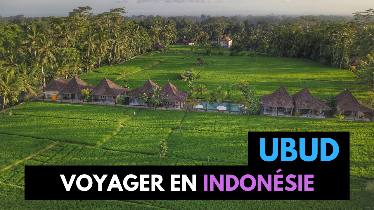 VOYAGE BALI - UBUD