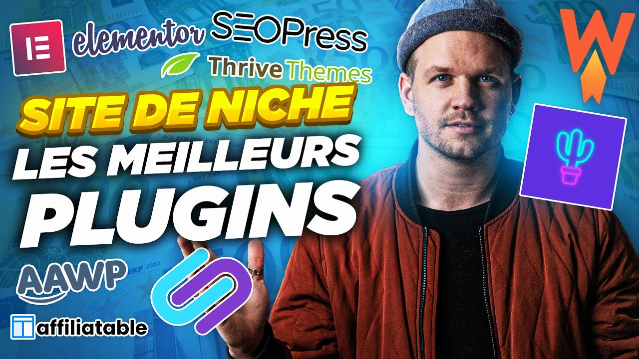 site de niche plugins wordpress