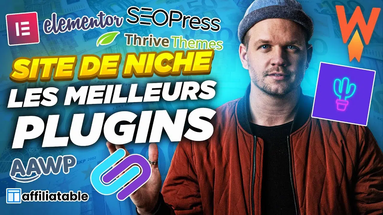 site de niche plugins wordpress